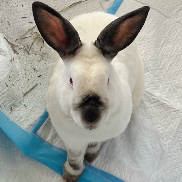 ABOUT ME! - Picture 1 of 1